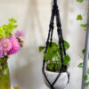 Twisted Plant Hanger - Image 16