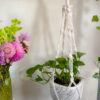 Twisted Plant Hanger - Image 18