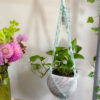 Twisted Plant Hanger - Image 17