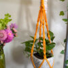 Twisted Plant Hanger - Image 9