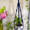 Twisted Plant Hanger - Image 10