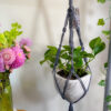 Twisted Plant Hanger - Image 15