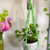 Twisted Plant Hanger - Image 11