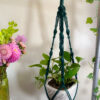 Twisted Plant Hanger - Image 8