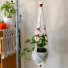 Flower Power Plant Hanger - Image 10