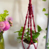 Twisted Plant Hanger - Image 13