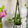Twisted Plant Hanger - Image 12