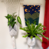 Starry Night Wall Plant Hanger - Image 3