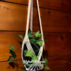 Crisscross Plant Hanger - Image 3