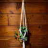 Crisscross Plant Hanger - Image 2