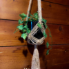 Crisscross Plant Hanger