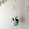 Crisscross Plant Hanger - Image 12