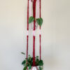 Blossoming - Double Plant Hanger - Image 3