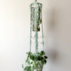 Blooming with Green - Double Plant Hanger