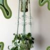 Blooming with Green - Double Plant Hanger - Image 3