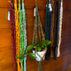Plant Hanger