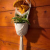 Custom Mushroom Plant Hanger