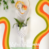 Custom Mushroom Plant Hanger