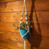Flower Power Plant Hanger