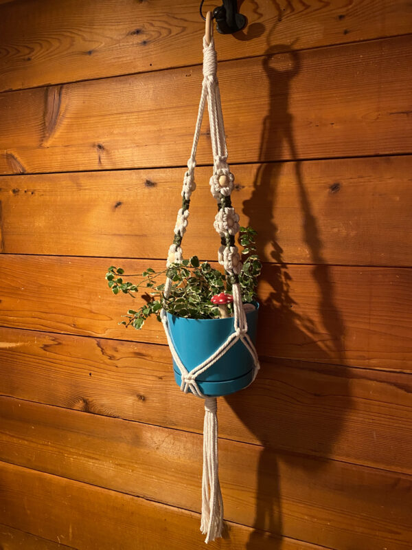 Flower Power Plant Hanger