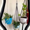 Minimalist Indoor / Outdoor Plant Hanger