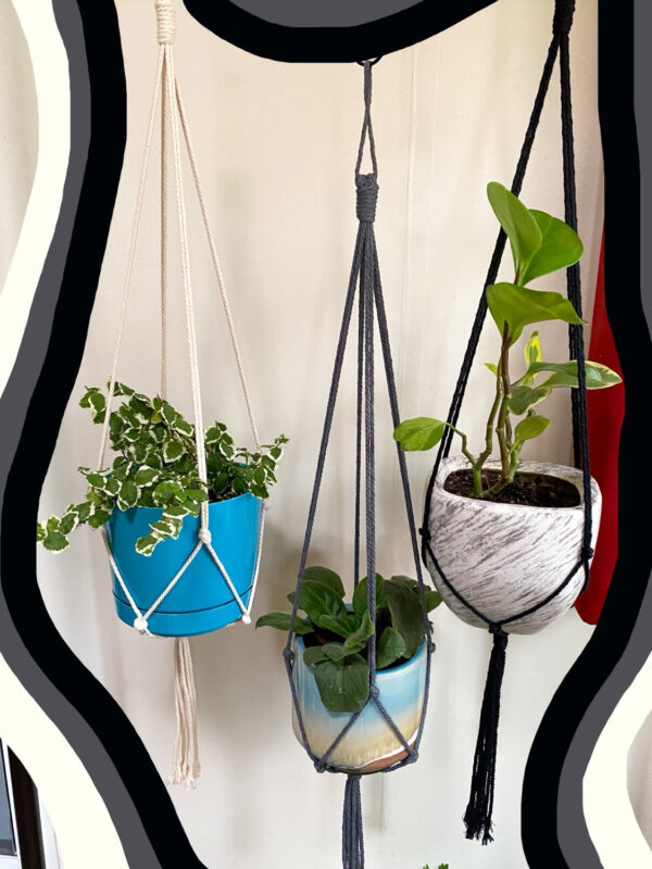 Minimalist Indoor / Outdoor Plant Hanger