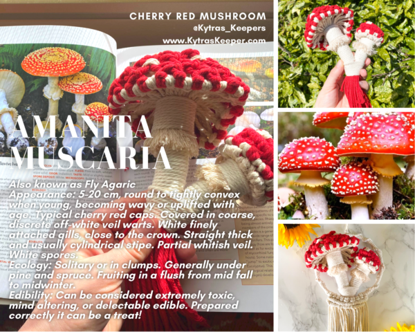 Cherry Red Macrame Mushrooms