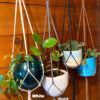 Minimalist Indoor / Outdoor Plant Hanger