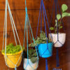 Minimalist Indoor / Outdoor Plant Hanger