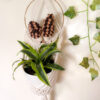 Custom Mushroom Plant Hanger