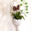 Custom Mushroom Plant Hanger