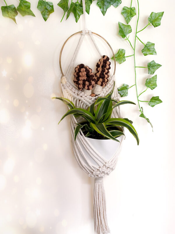 Custom Mushroom Plant Hanger