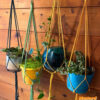 Minimalist Indoor / Outdoor Plant Hanger