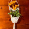 Custom Mushroom Plant Hanger