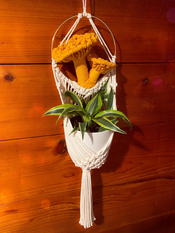 Custom Mushroom Plant Hanger