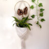 Custom Mushroom Plant Hanger