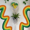 Custom Mushroom Plant Hanger