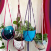 Minimalist Indoor / Outdoor Plant Hanger