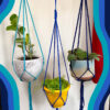 Minimalist Indoor / Outdoor Plant Hanger