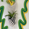 Custom Mushroom Plant Hanger