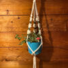Flower Power Plant Hanger