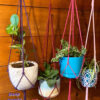 Minimalist Indoor / Outdoor Plant Hanger