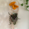 Custom Mushroom Plant Hanger