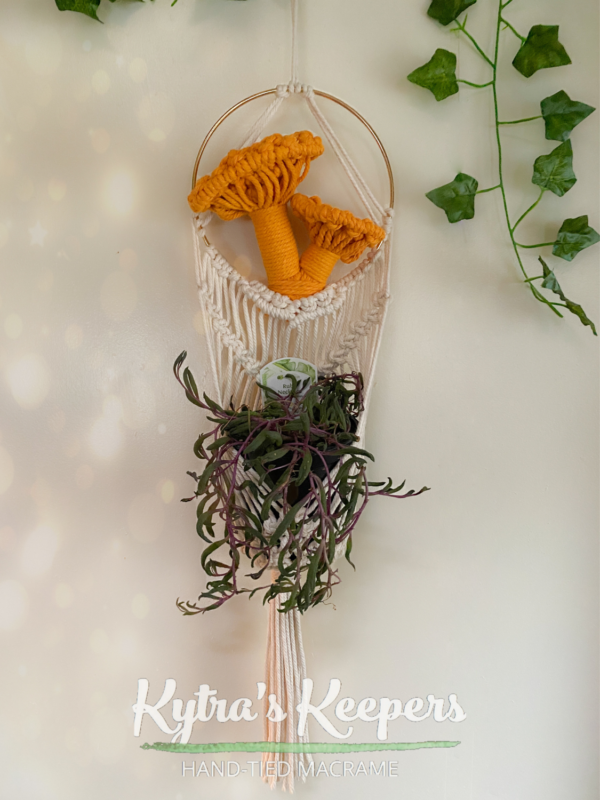 Custom Mushroom Plant Hanger