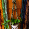 Plant Hanger